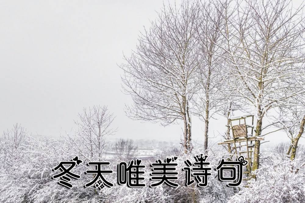 无题（鲁峰）