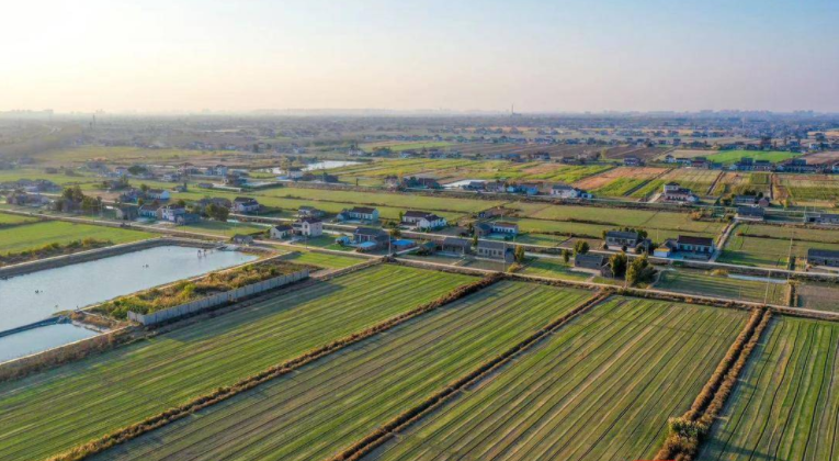 江苏盐城经开区：步凤镇开足马力招商引资 激活镇域经济“一池春水”