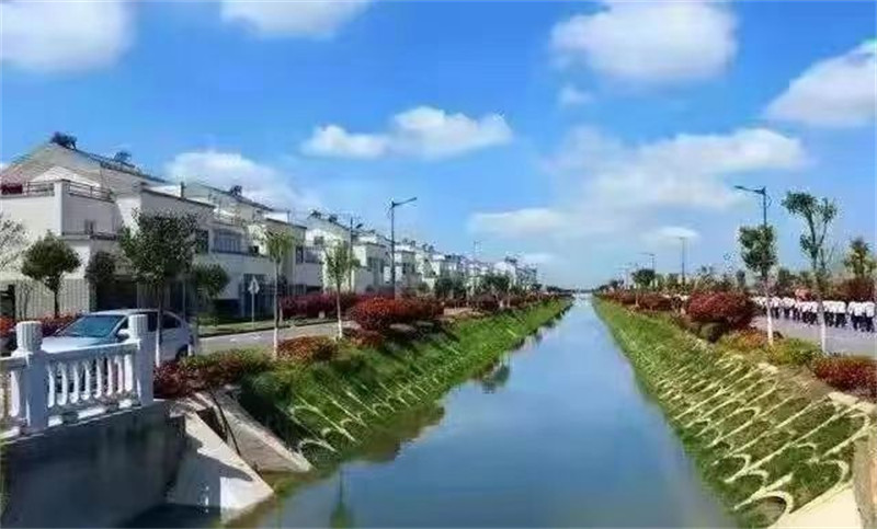 盐城大丰大中街道：“河长制”助力“河常治”