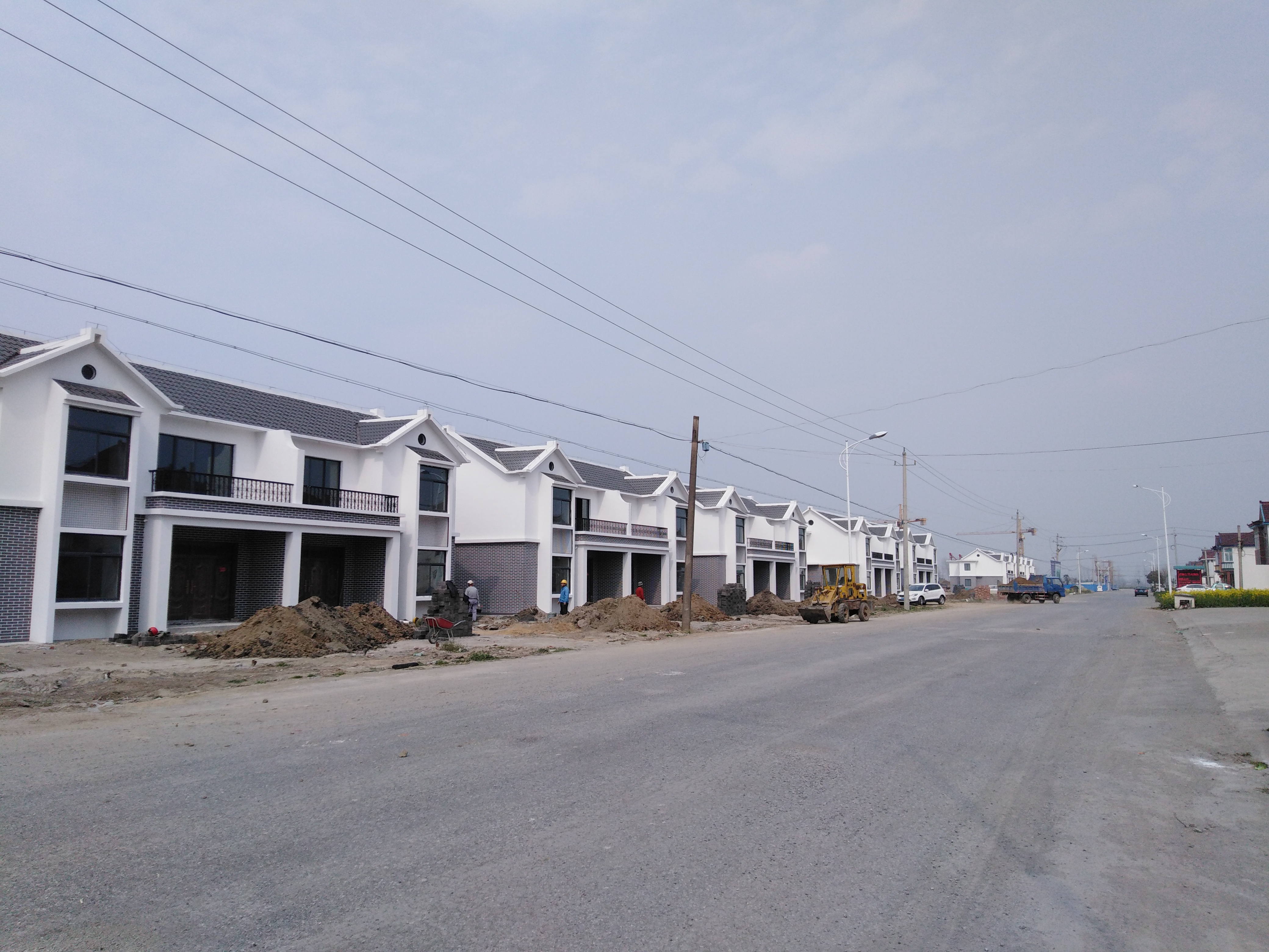 盐城大丰大桥镇：蹚出一条乡村振兴“新路子”