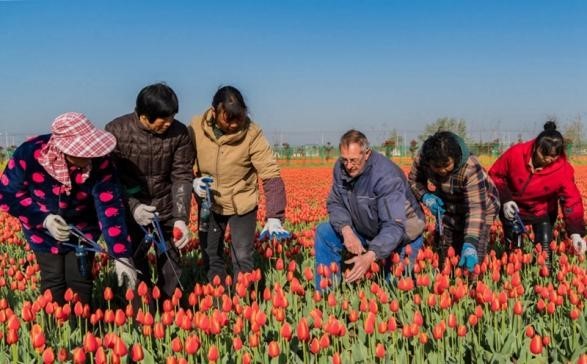 江苏盐城大丰：为乡土人才提供广阔天地