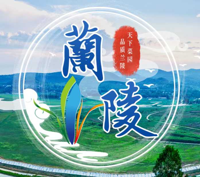 山东兰陵县向城镇：“土专家”活跃田间地头，助力乡村振兴跑出“加速度”